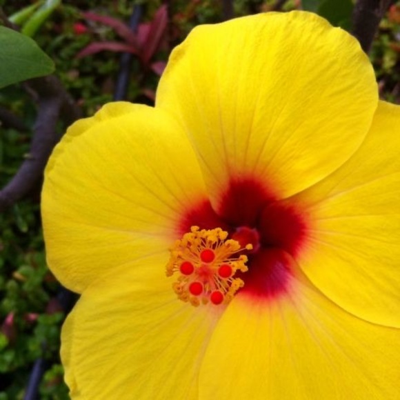 Meet your Posher, Kelsey - Picture 1 of 1